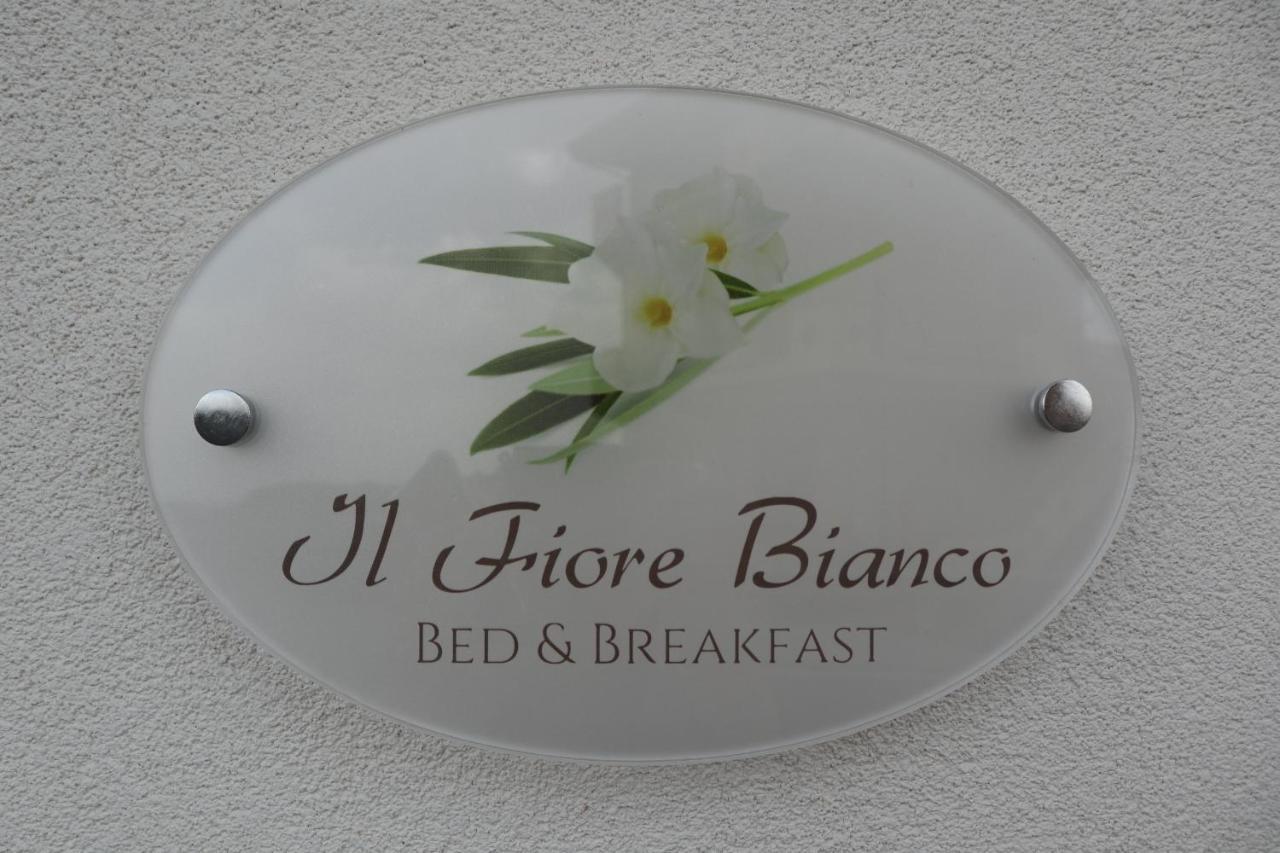 Il Fiore Bianco *